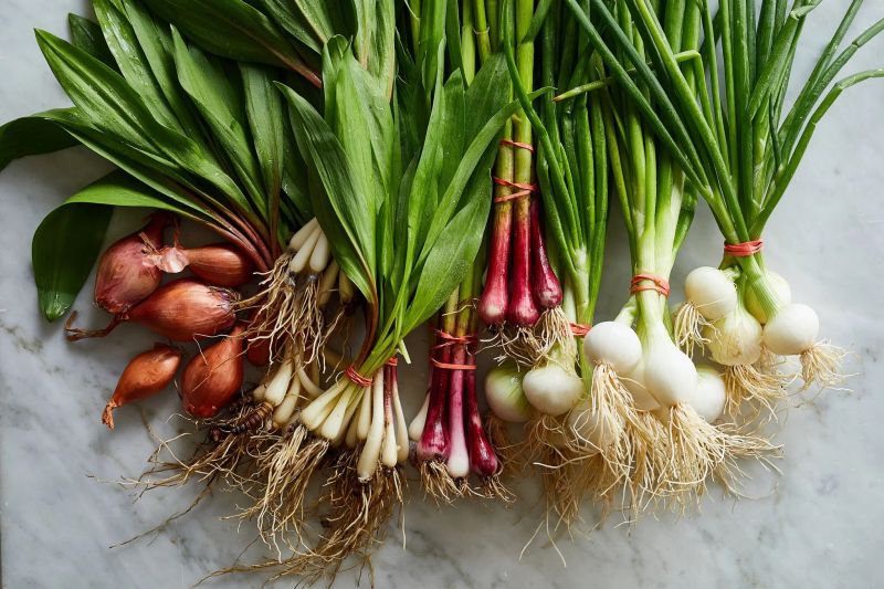 Oval-Round Common green onions, for Cooking, Enhance The Flavour, Human Consumption, Style : Fresh