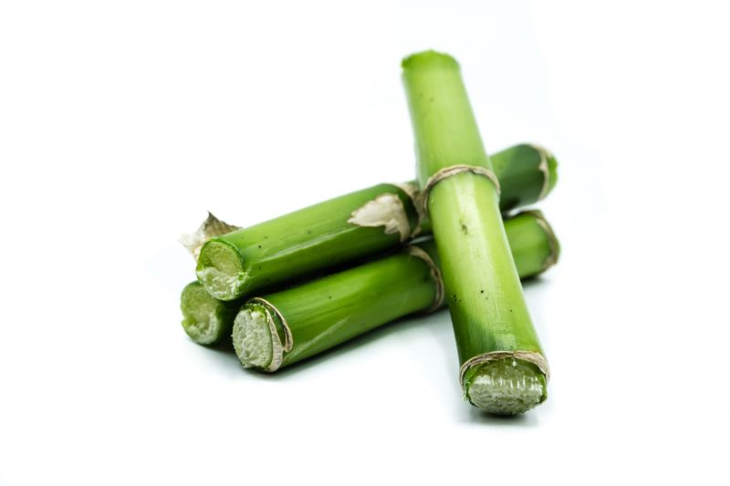 Bamboo Extract
