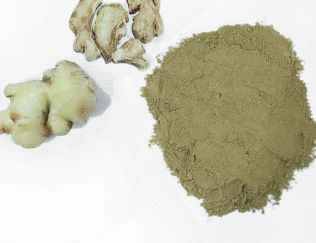 Green Fresh Organic Ginger Extract, for Medicinal, Food Additives, Style : Dried