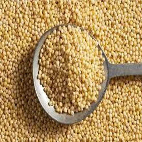Yellow Organic Amaranth Millet Seeds, for Cooking, Cattle Feed, Style