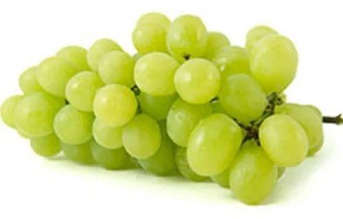 Organic Fresh Green Grapes, Certification : FSSAI Certified