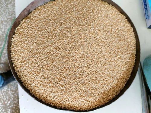 Natural Barnyard Millets, for Cooking, Style : Dried