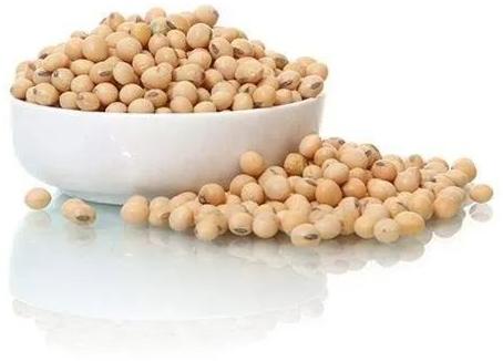 Soybean Seeds, for Cooking, Style : Raw