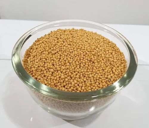 Yellow Sorghum Seeds, for Agriculture, Packaging Type : Dried