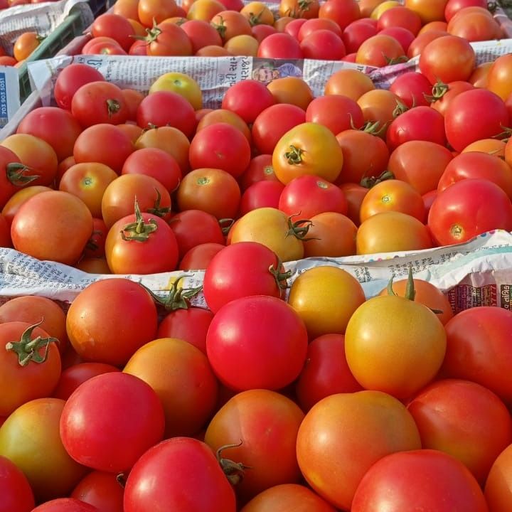 Tomatto