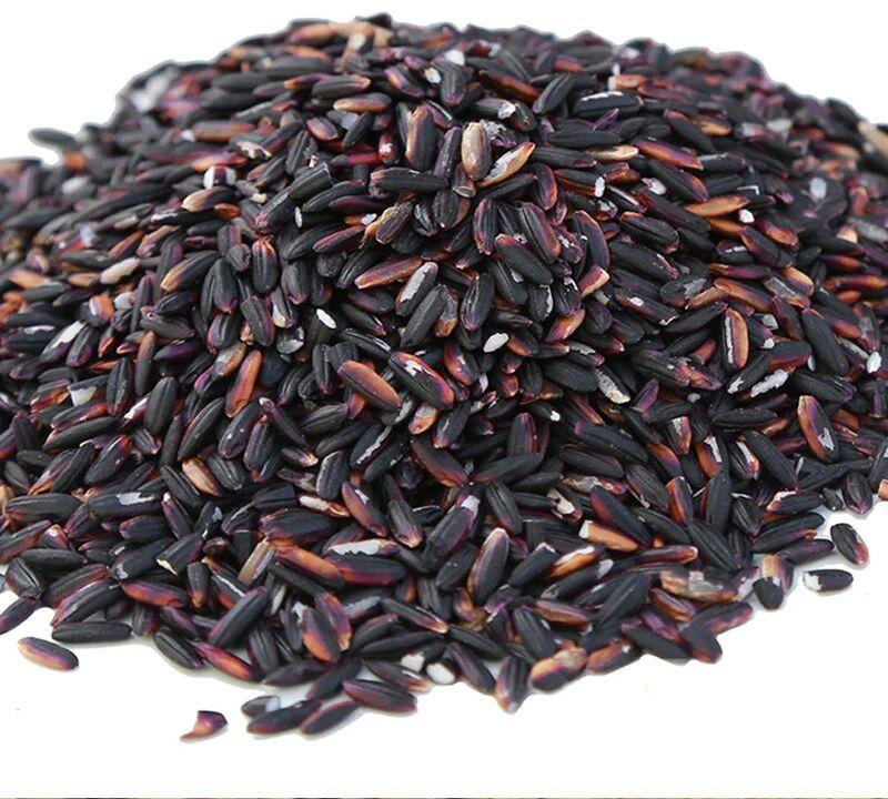 Natural black rice, for Human Consumption, Certification : FDA Certified