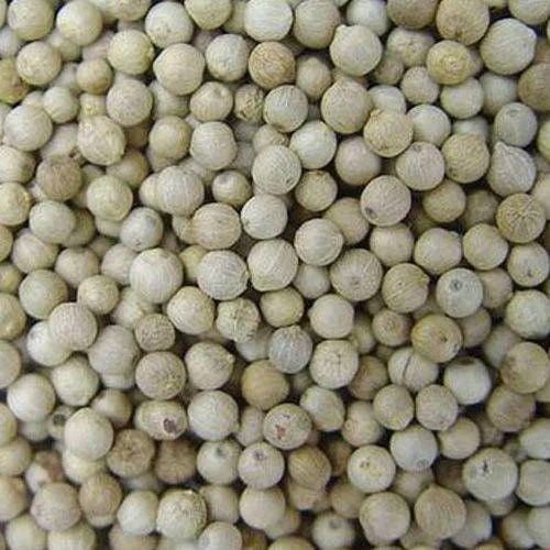 Organic white pepper seeds, for Cooking, Style : Dried