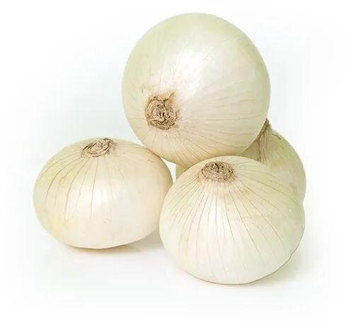 White Onion