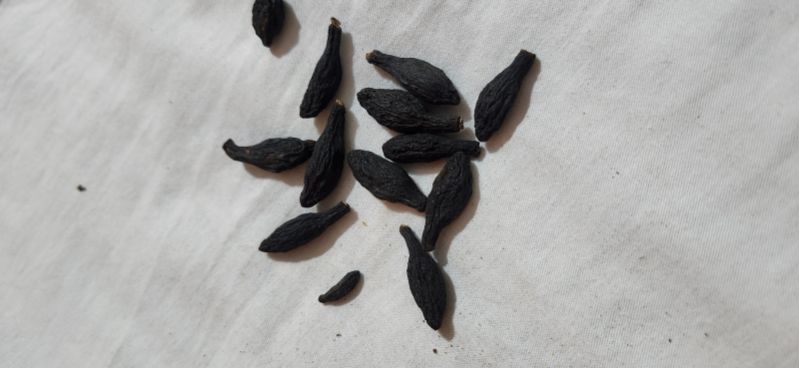 Patanjali organic chebula seeds, Shelf Life : 4 Year