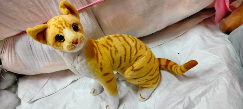 Yellow Cotton Cat Soft Toy, for Baby Playing, Feature : Light Weight