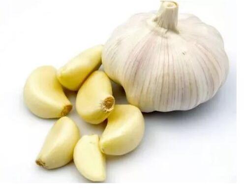 Organic fresh garlic, for Human Consumption, Packaging Type : Jute Bag