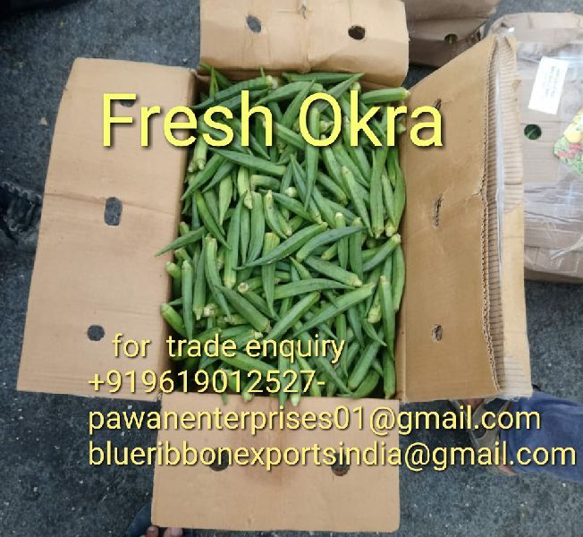 Fresh Okra, Color : Green