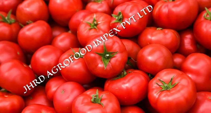 Natural tomato, Packaging Size : 20-30kg