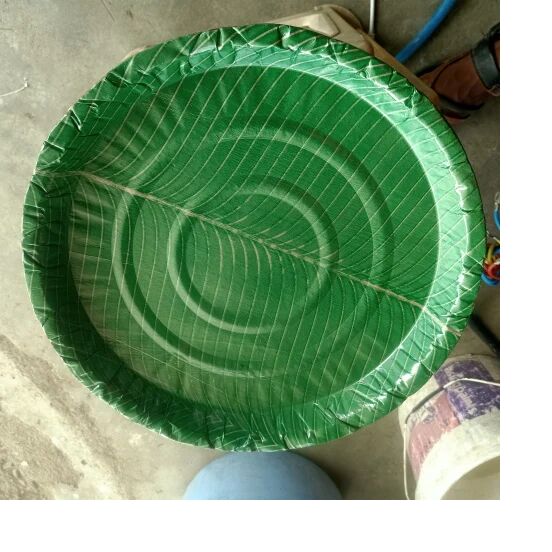 Wrinkle Banana Leaf Plate, Size : 14 Inch