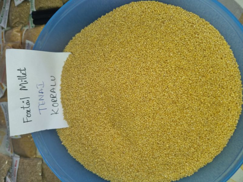 Hulled Natural Foxtail Millet Rice, For Cooking, Packaging Size : 30kg