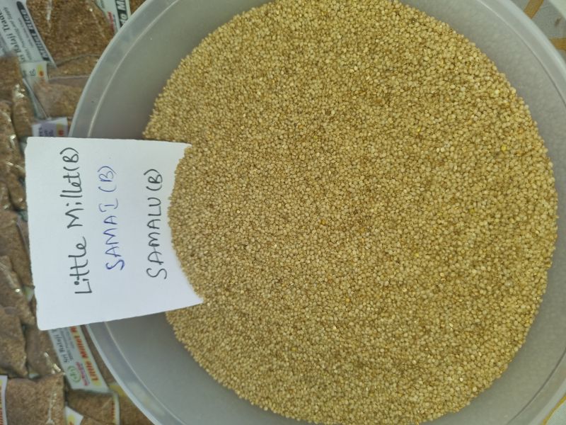 Fine Processed Natural little millet rice, for Cooking, Variety : Hulled