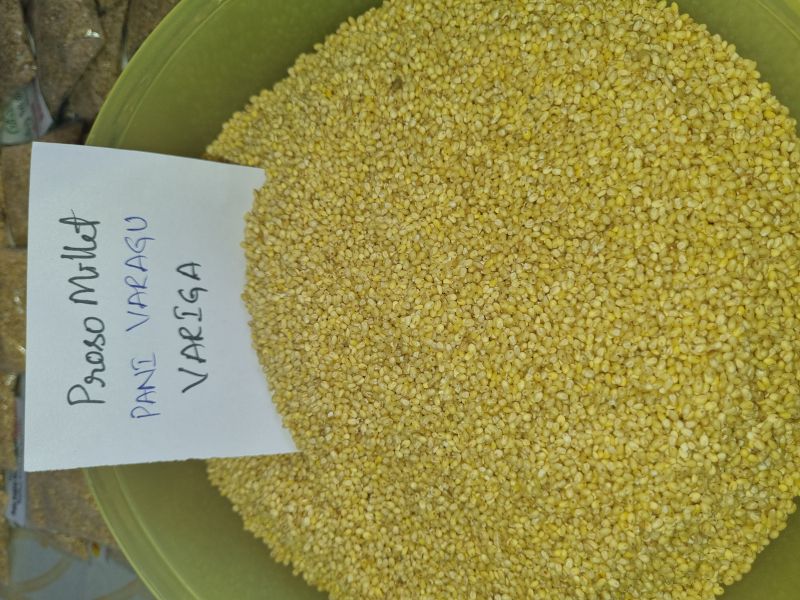 Unpolished Proso Millet Rice