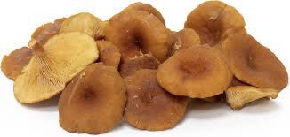 Mushroom Candy