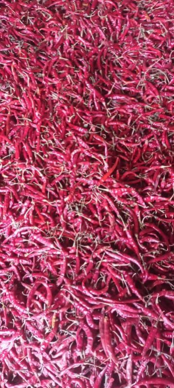 Teja Red Chilli, Length : Minimum
