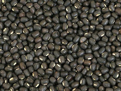 Black Urad Dal, for Cooking, Packaging Type : Plastic Pouch