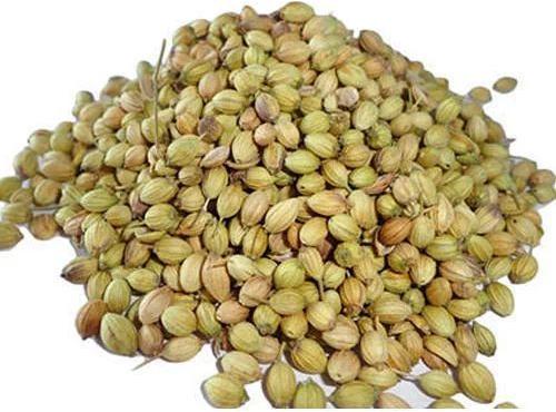 Solid Raw Natural Coriander Seeds, for Spices, Packaging Type : Plastic Pouch