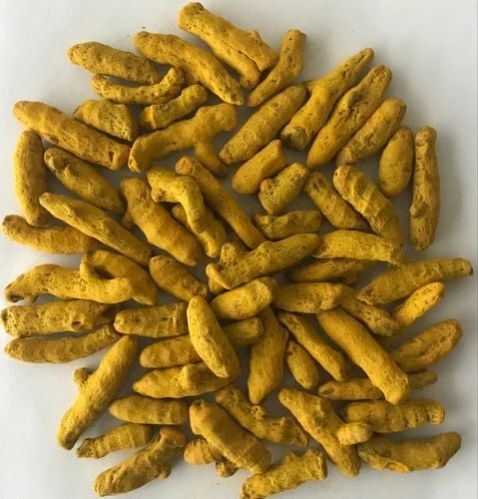 Yellow Solid Raw Natural Turmeric Finger, for Spices, Food Medicine, Packaging Type : Plastic Pouch