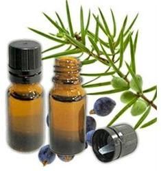 Organic Juniper Berry Oil, for Cosmetic Uses, Medical Uses, Purity : 99%