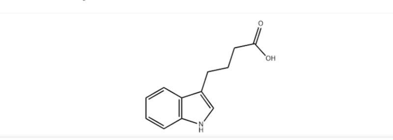 Indole 3 butyric acid IBA