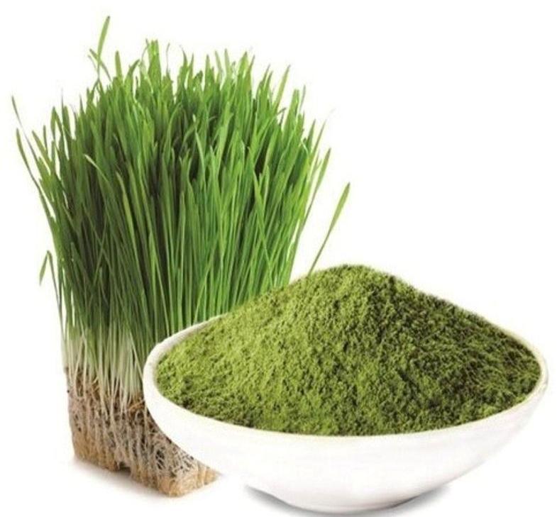 Wheat Grass Powder