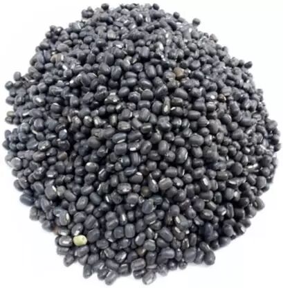 Natural Black Urad Dal, for Cooking, Packaging Type : Plastic Packet