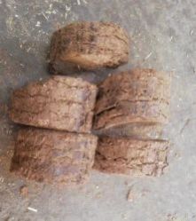 Groundnut Shell Briquette, For Used As A Fuel In Steam, Purity : 99%
