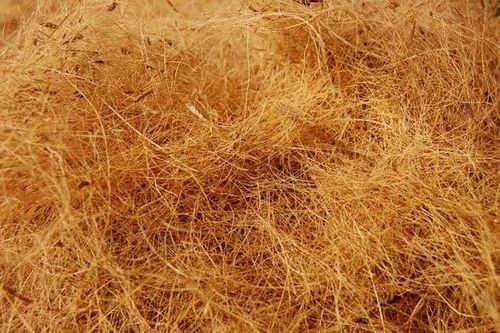 Brown Coconut Coir Fibre