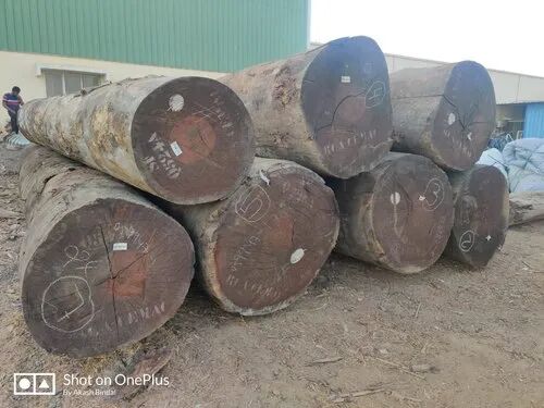 Round Sapeli Wood Log