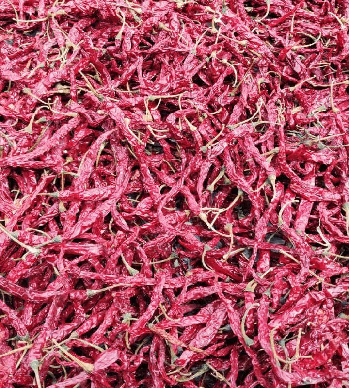 Raw Common 5531 Red Chilli, for Spices, Grade Standard : Food Grade