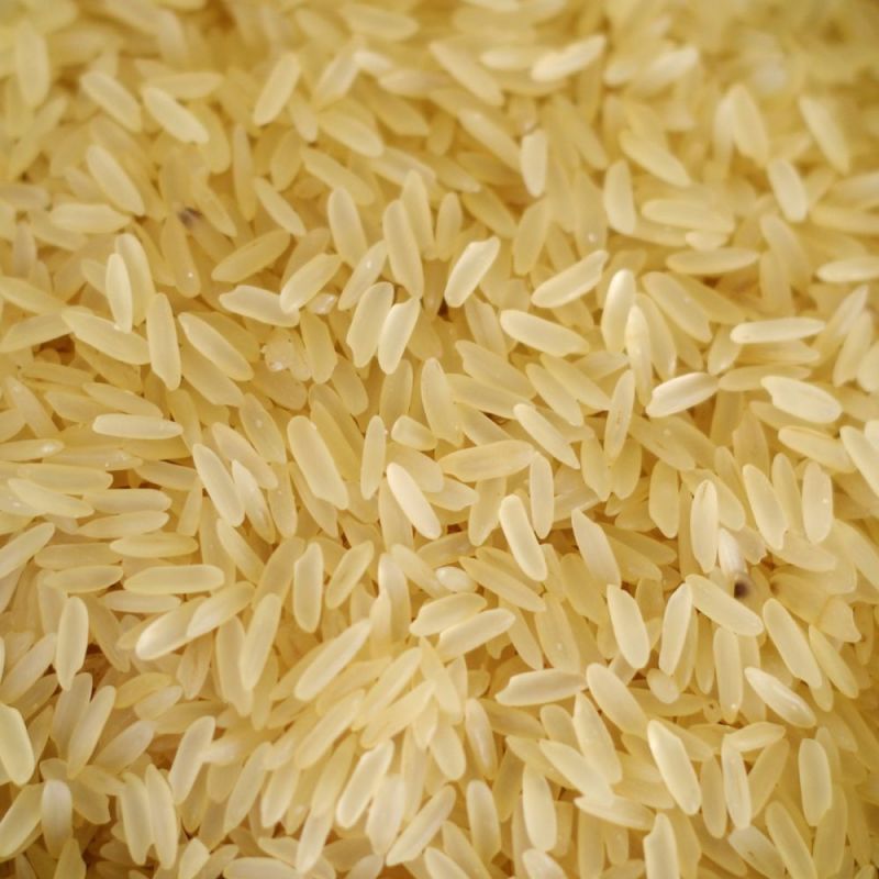 White Common Parboiled Rice, for Human Consumption, Food, Cooking, Cuisine Type : Indian