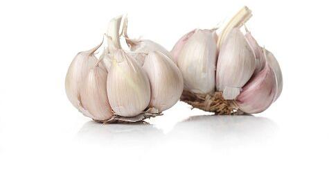 Garlic, Certification : HALAL