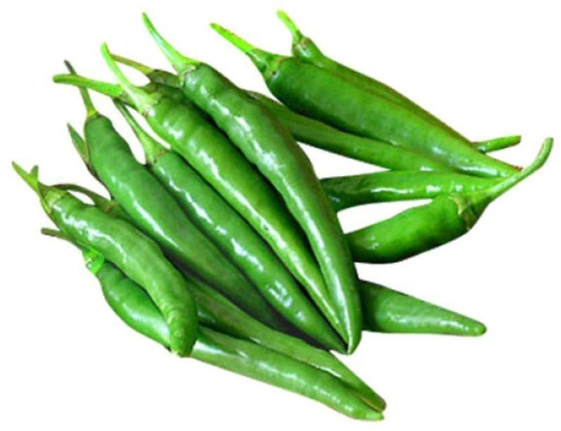 Green Chili