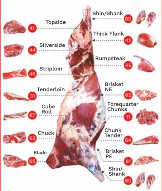 Tuvis Solutions OPC Private Limited in Mumbai Supplier of Buffalo