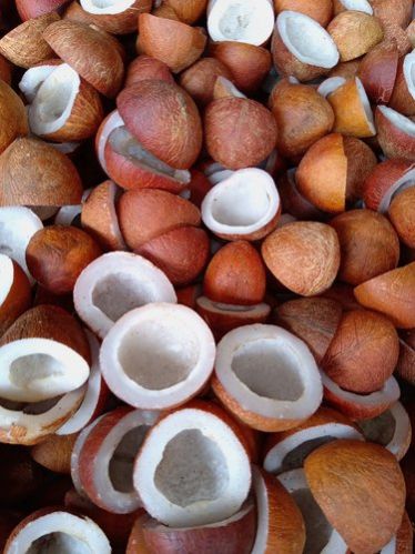 Natural Coconut Copra, for Pooja, Feature : Good Taste, Healthy
