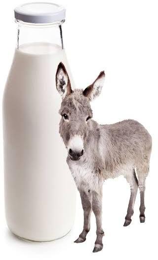 Donkey milk, Purity : 98%