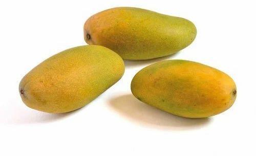 Organic Fresh Dasheri Mango, Color : Yellow