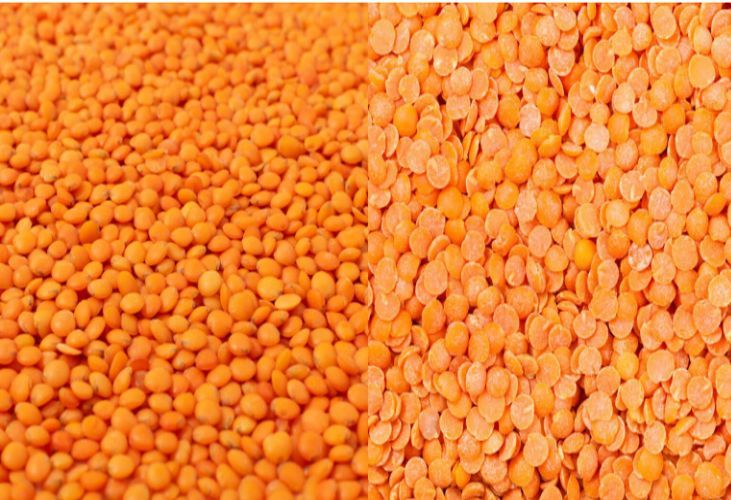 Orange Masoor Dal, For Cooking, Packaging Type : Plastic Packet