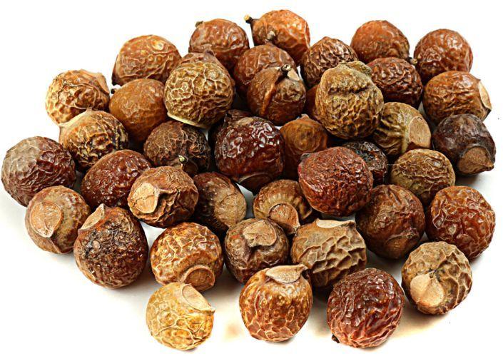 Natural Soap Nuts, for Medicinal Herbs, Grade : Medicine