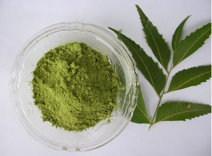 Neem Leaves Powder, for Cosmetic, Medicine, Form : Leaf