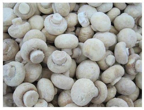 Common Frozen Button Mushroom, for Cooking, Color : Creamy