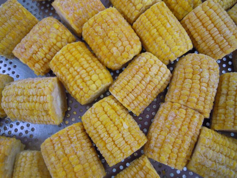 Yellow Common Frozen Corn Cob, for Snacks, Cooking