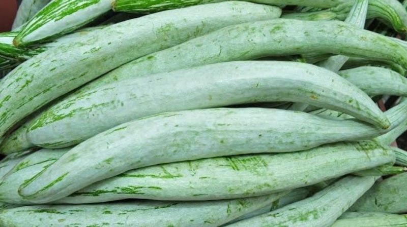 Frozen Snake Gourd