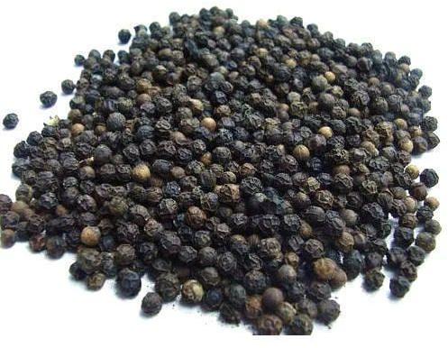 Natural black pepper seeds, Packaging Type : Plastic Packet