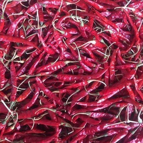 Dark-red Premium Khammam Teja Dry Red Chilli, for Food, Feature : Rich In Color