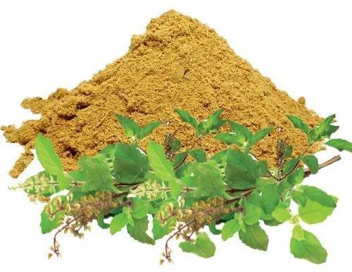 Green Organic Tulsi Extract Powder, Packaging Size : 20-30kg